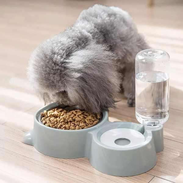 Feeding Bowls & Water Dispensers