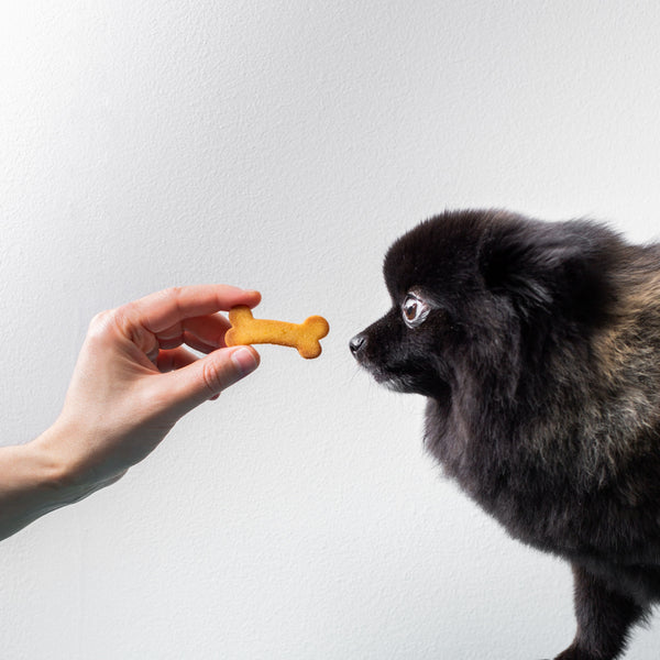 Pet Food, Treats & Supplements