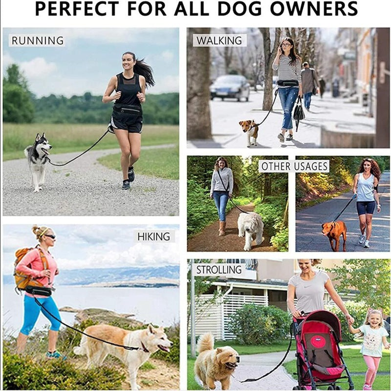 Hands-Free Dog Leash and Training Belt with Bungee