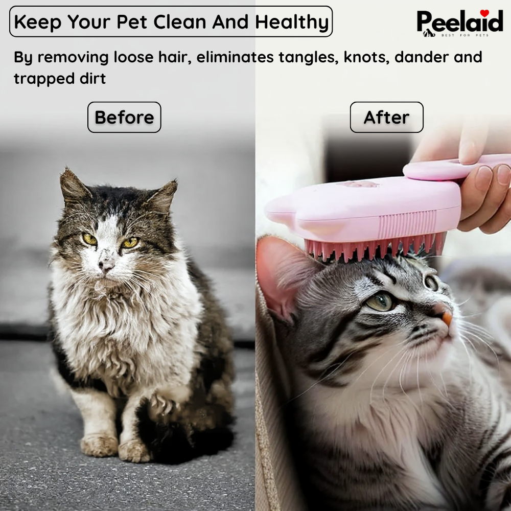 Steam Pet Grooming Brush
