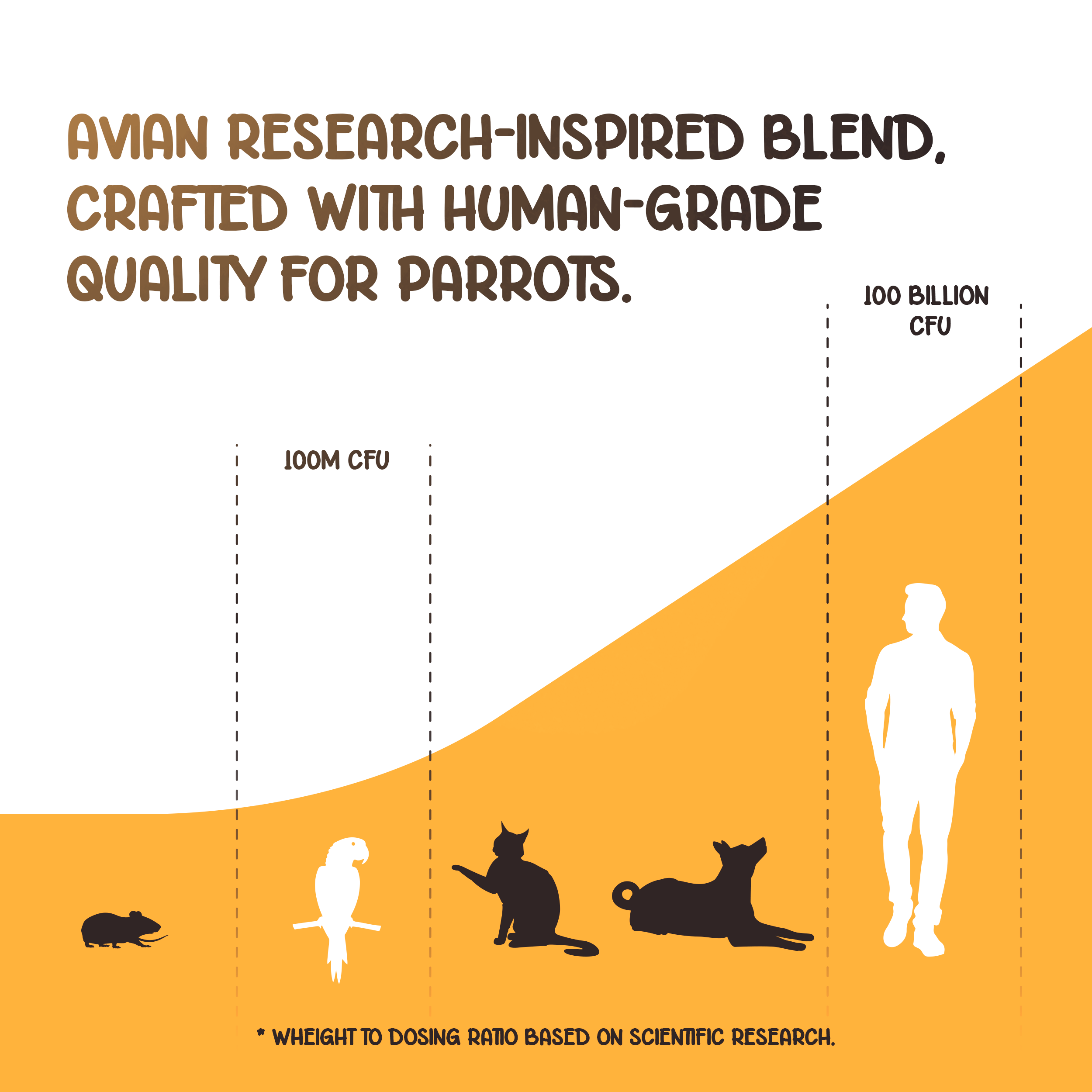 Pre+Pro+Post Biotics Blend for Parrots - 1.06oz