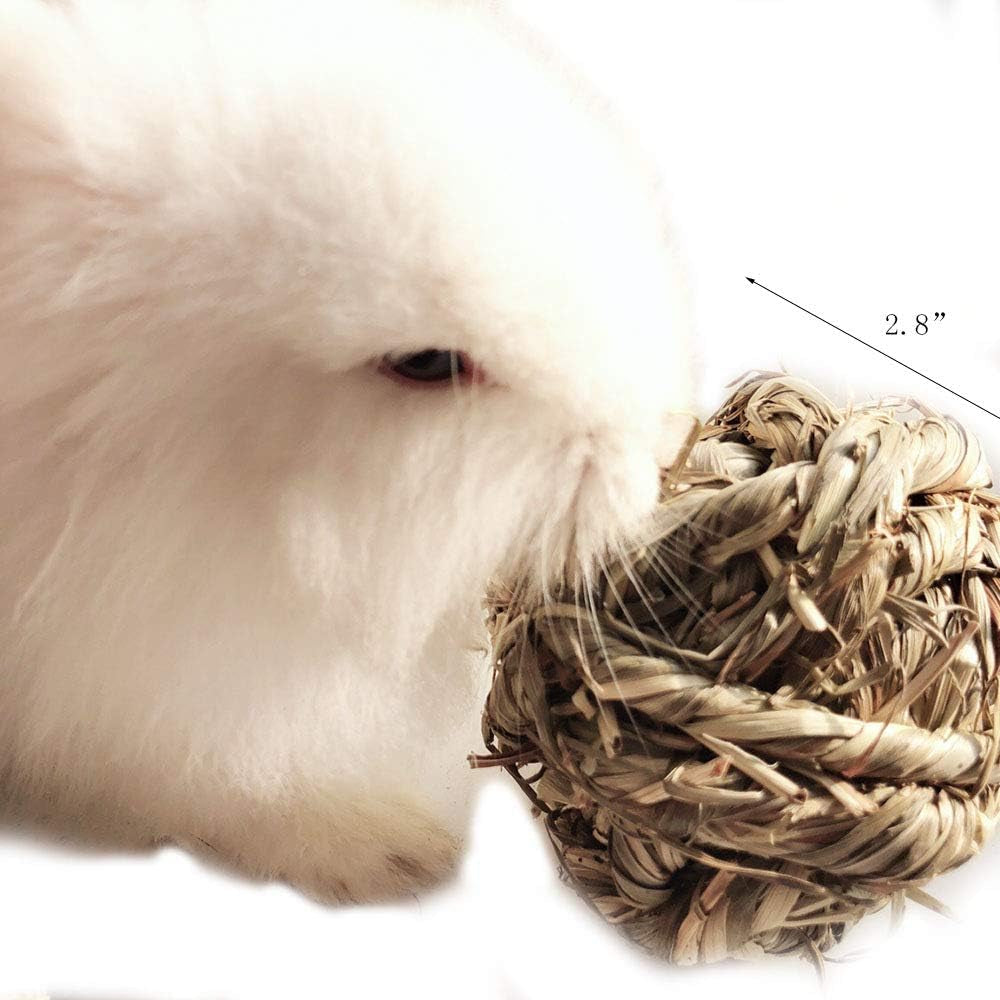 Get Your Furry Friends Hopping with Our Timothy Grass Chew Ball – Perfect Playtime for Bunnies, Hamsters, and Guinea Pigs! 🐰🐹🥳