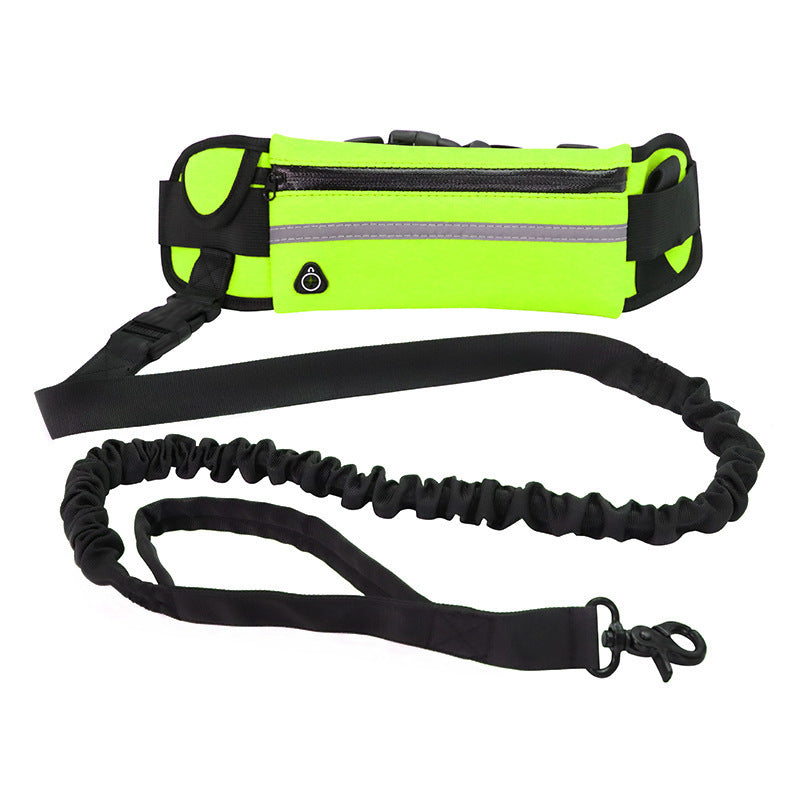 Hands-Free Dog Leash and Training Belt with Bungee