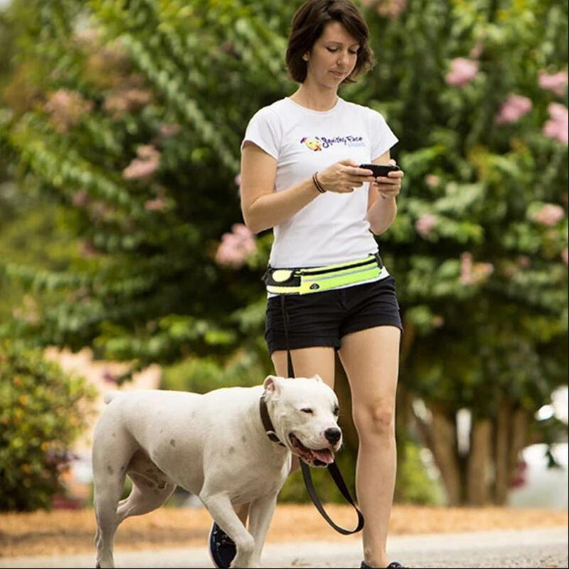 Hands-Free Dog Leash and Training Belt with Bungee