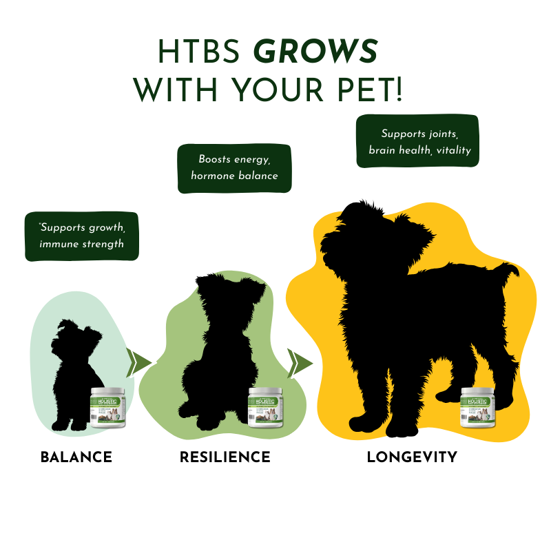 Holistic Total Body Support – Multivitamin for Dogs & Cats