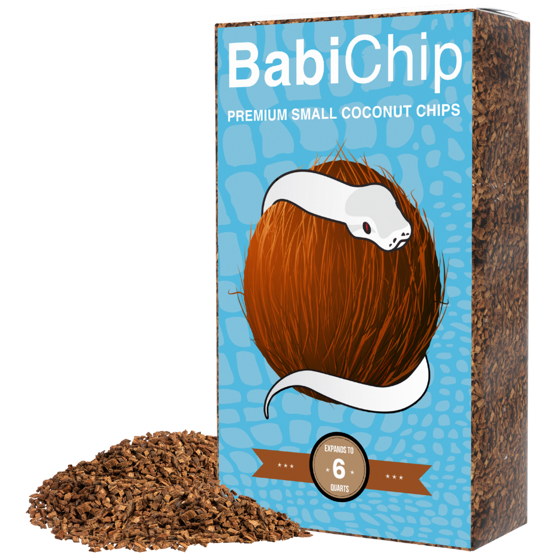 BabiChip Premium Small Sized Coconut Chips; Ready to Use