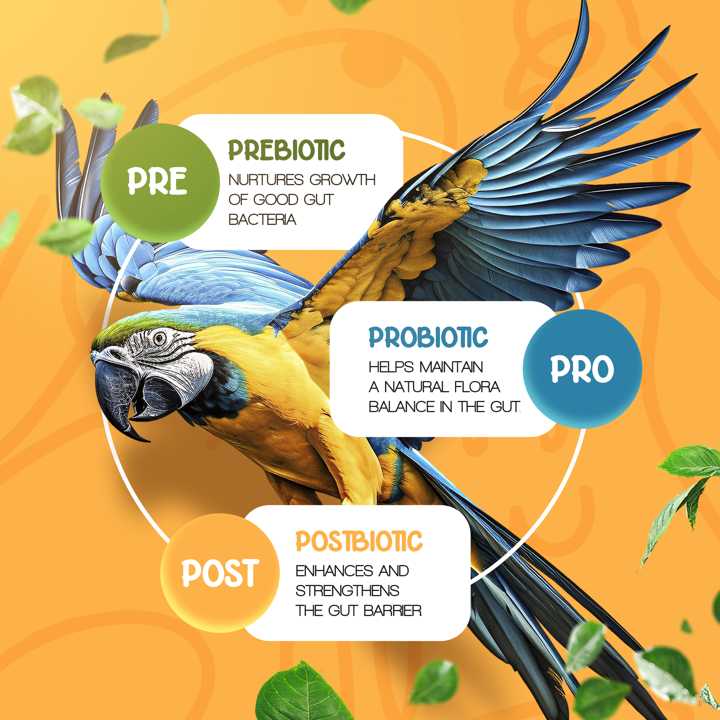 Pre+Pro+Post Biotics Blend for Parrots - 1.06oz