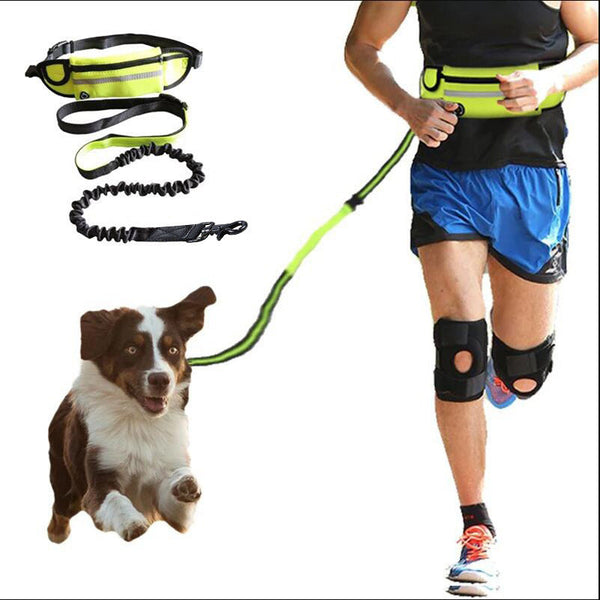 Hands-Free Dog Leash and Training Belt with Bungee
