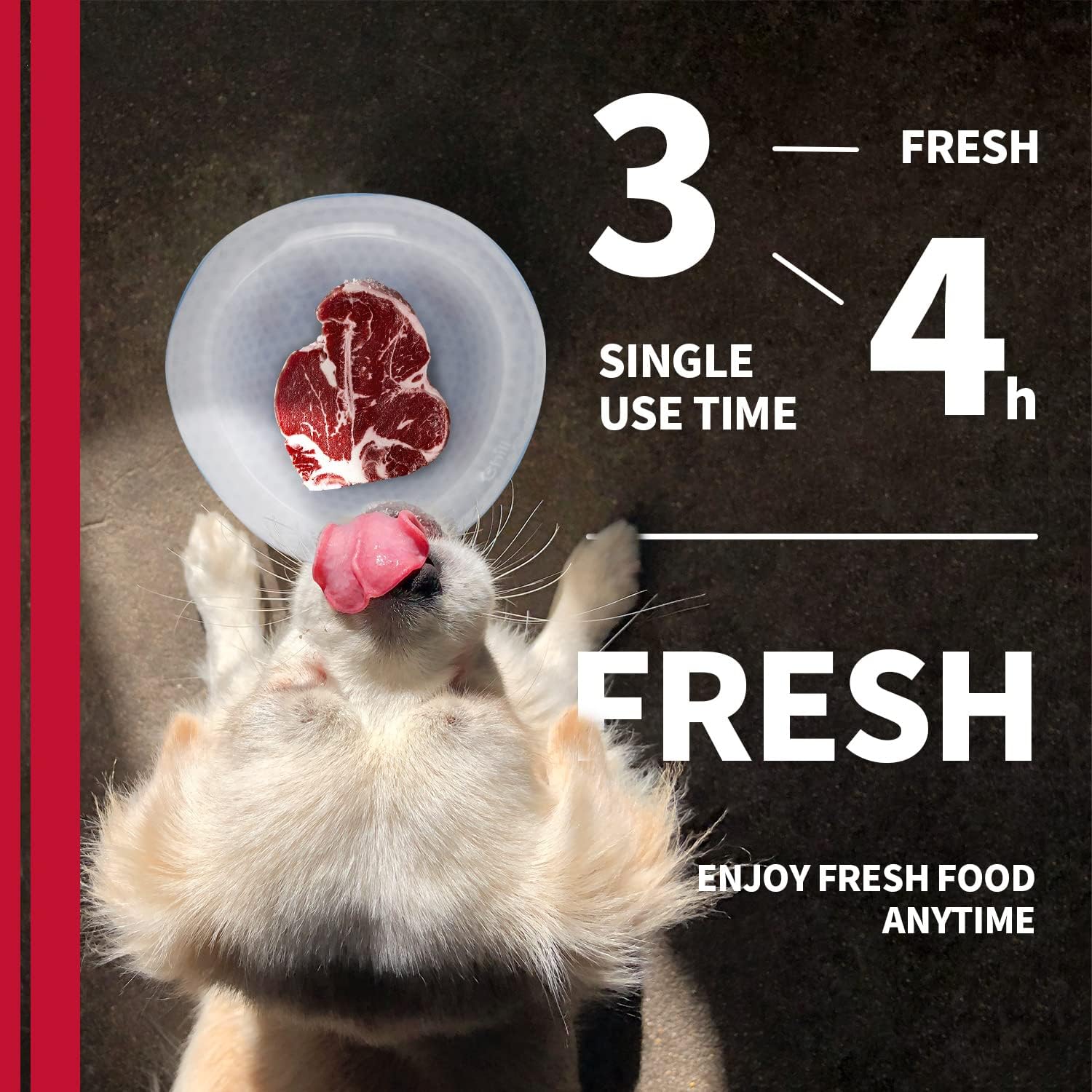 Chill Out Dog Cooler Bowl Keeps Water Fresh