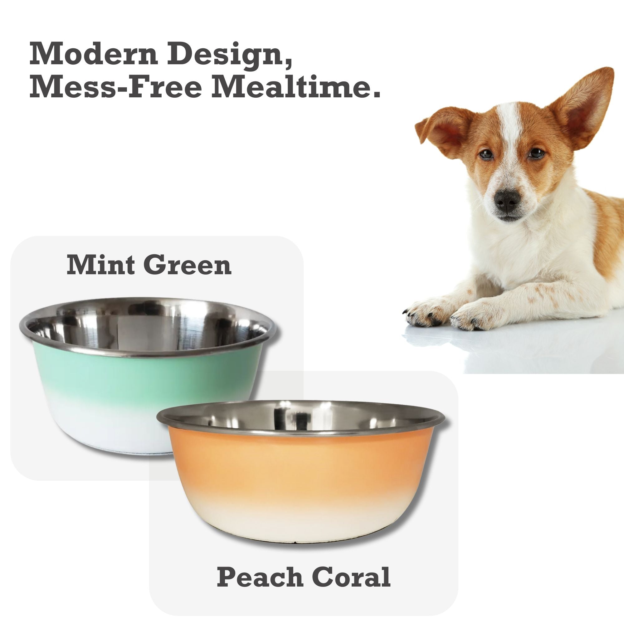 Mint Green Stainless Steel Dog Bowl for All Sizes