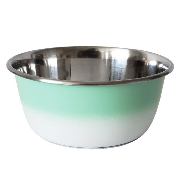 Mint Green Stainless Steel Dog Bowl for All Sizes