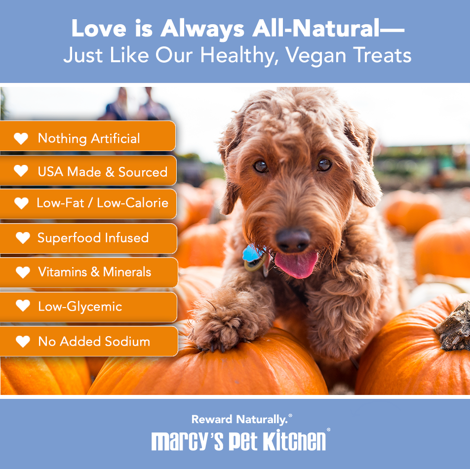Pet Kitchen Vegan Pumpkin Dog Biscuits