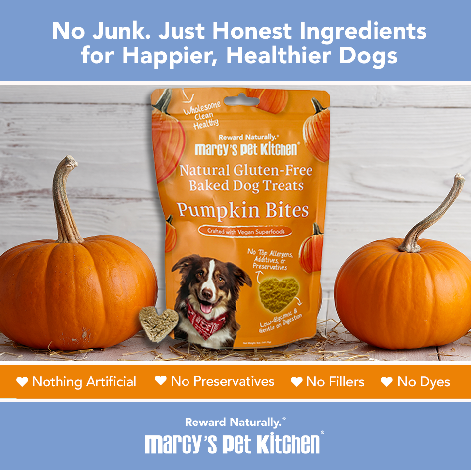 Pet Kitchen Vegan Pumpkin Dog Biscuits