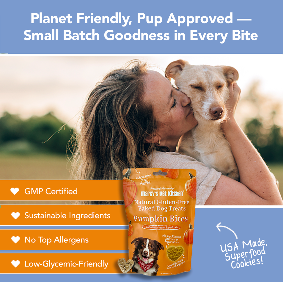 Pet Kitchen Vegan Pumpkin Dog Biscuits