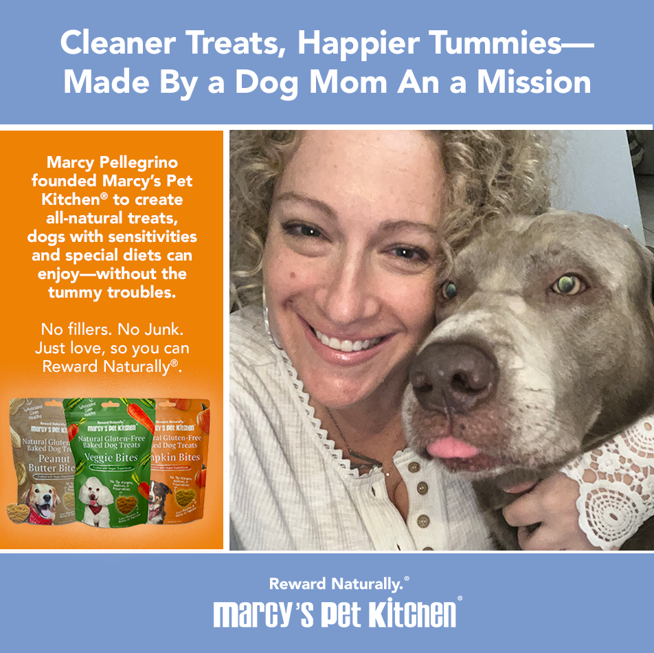 Pet Kitchen Vegan Pumpkin Dog Biscuits