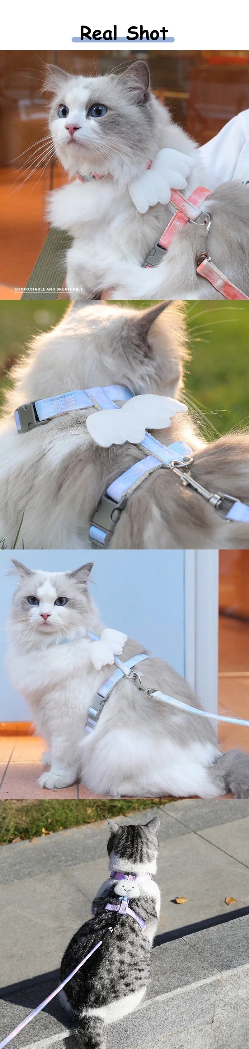 Cat Harness Wings – Adjustable Harness & Leash Set for Small Dogs & Cats
