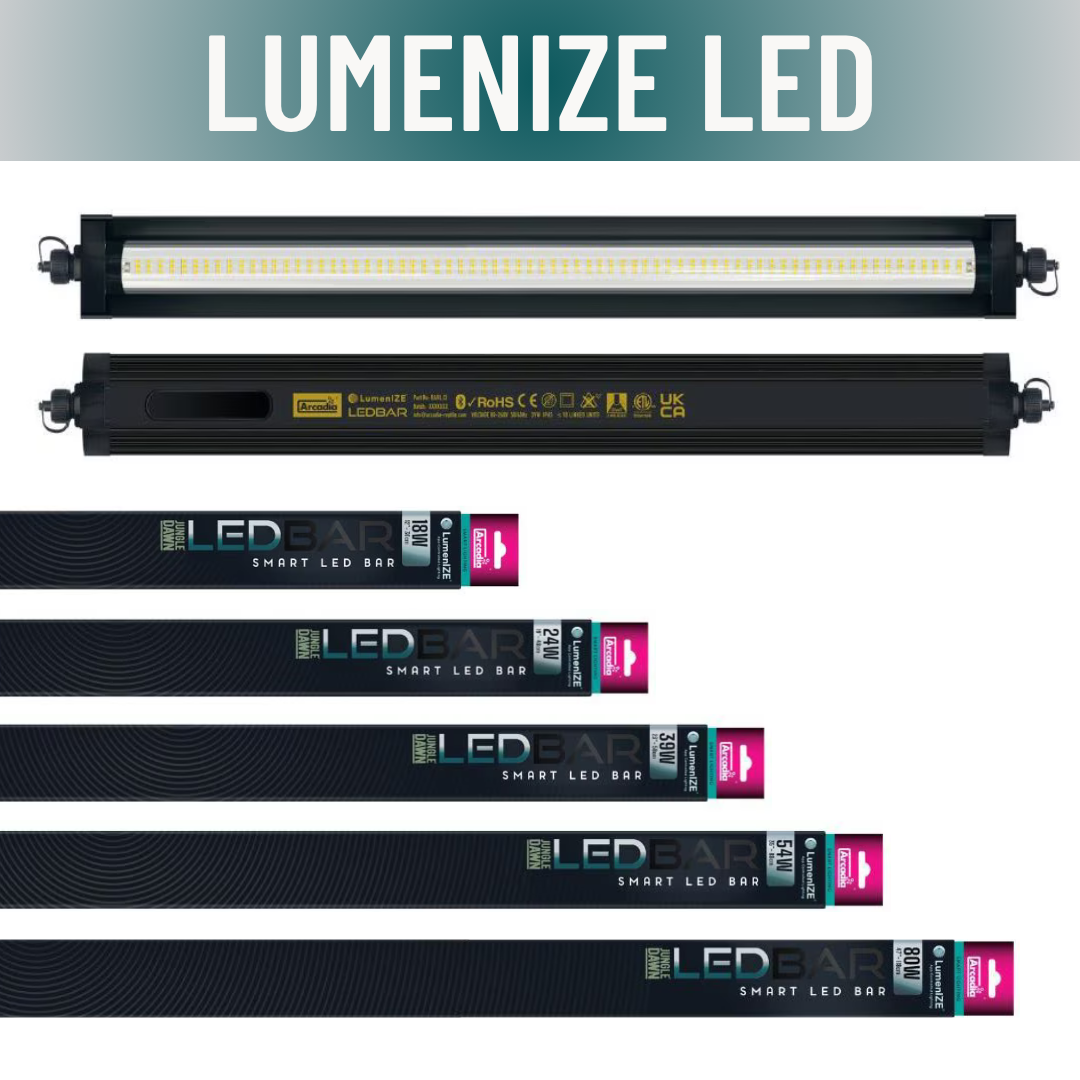 LumenIZE Jungle Dawn LED Bar
