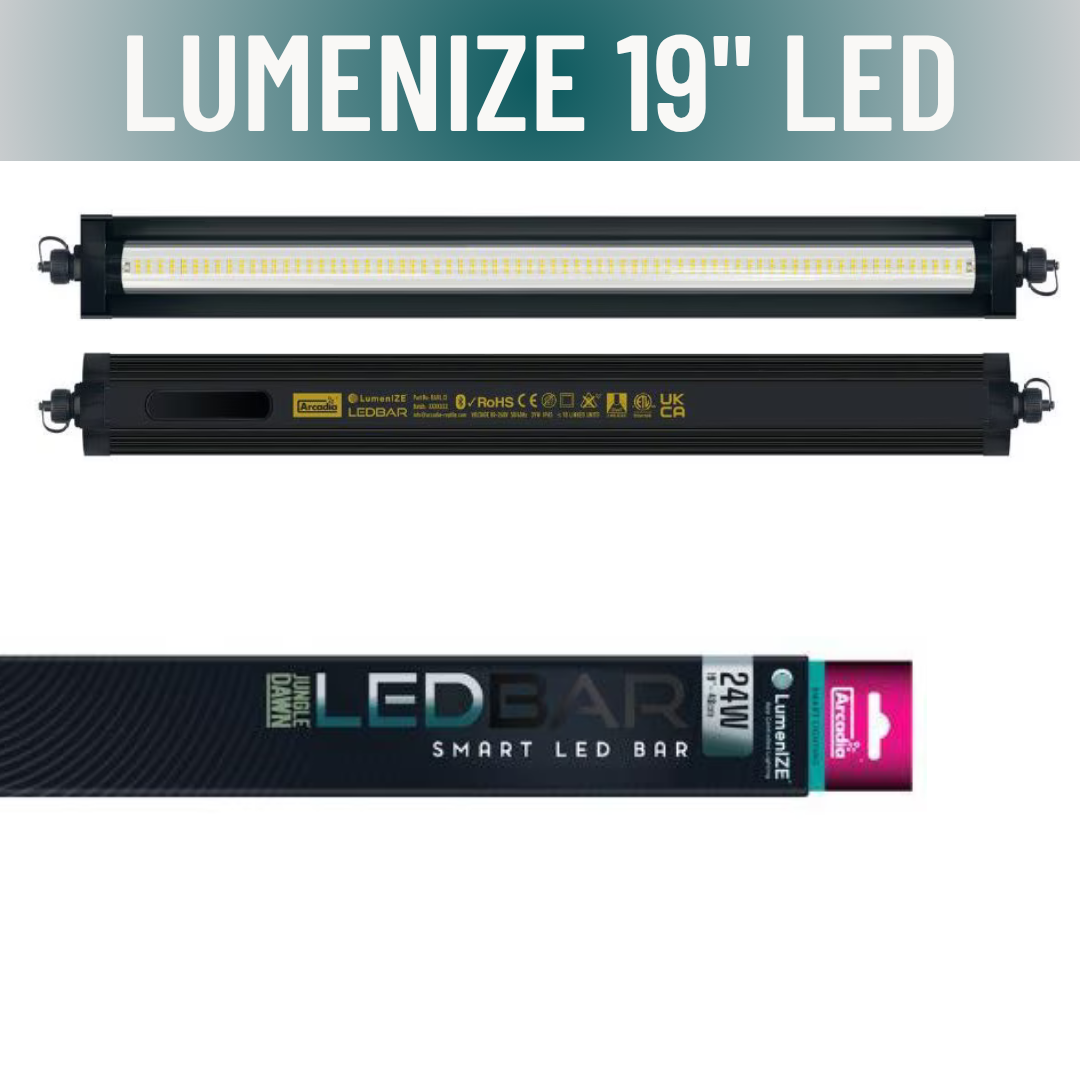 LumenIZE Jungle Dawn LED Bar