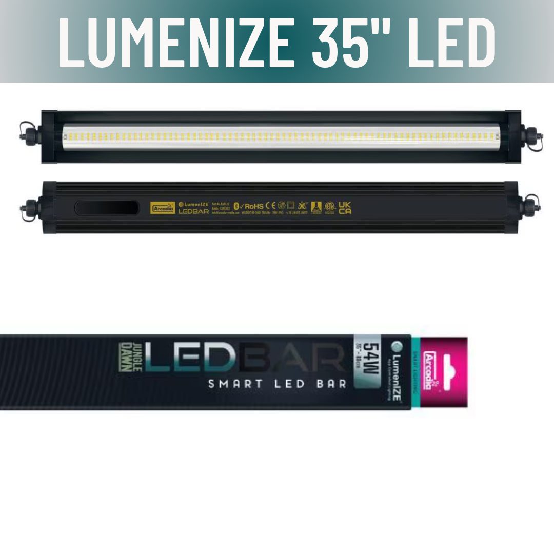 LumenIZE Jungle Dawn LED Bar