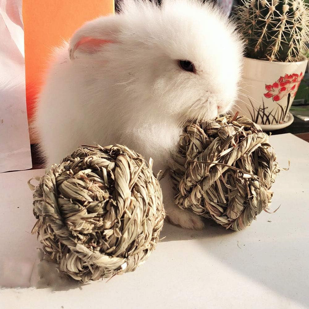 Get Your Furry Friends Hopping with Our Timothy Grass Chew Ball – Perfect Playtime for Bunnies, Hamsters, and Guinea Pigs! 🐰🐹🥳