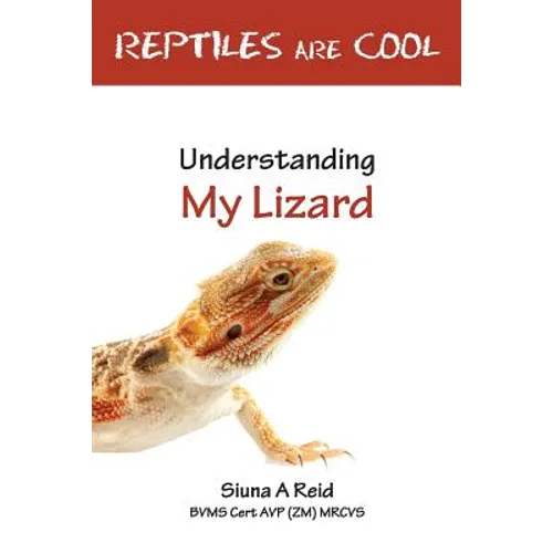 Reptiles Are Cool- Understanding My Lizard - Paperback