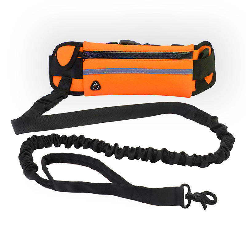 Hands-Free Dog Leash and Training Belt with Bungee