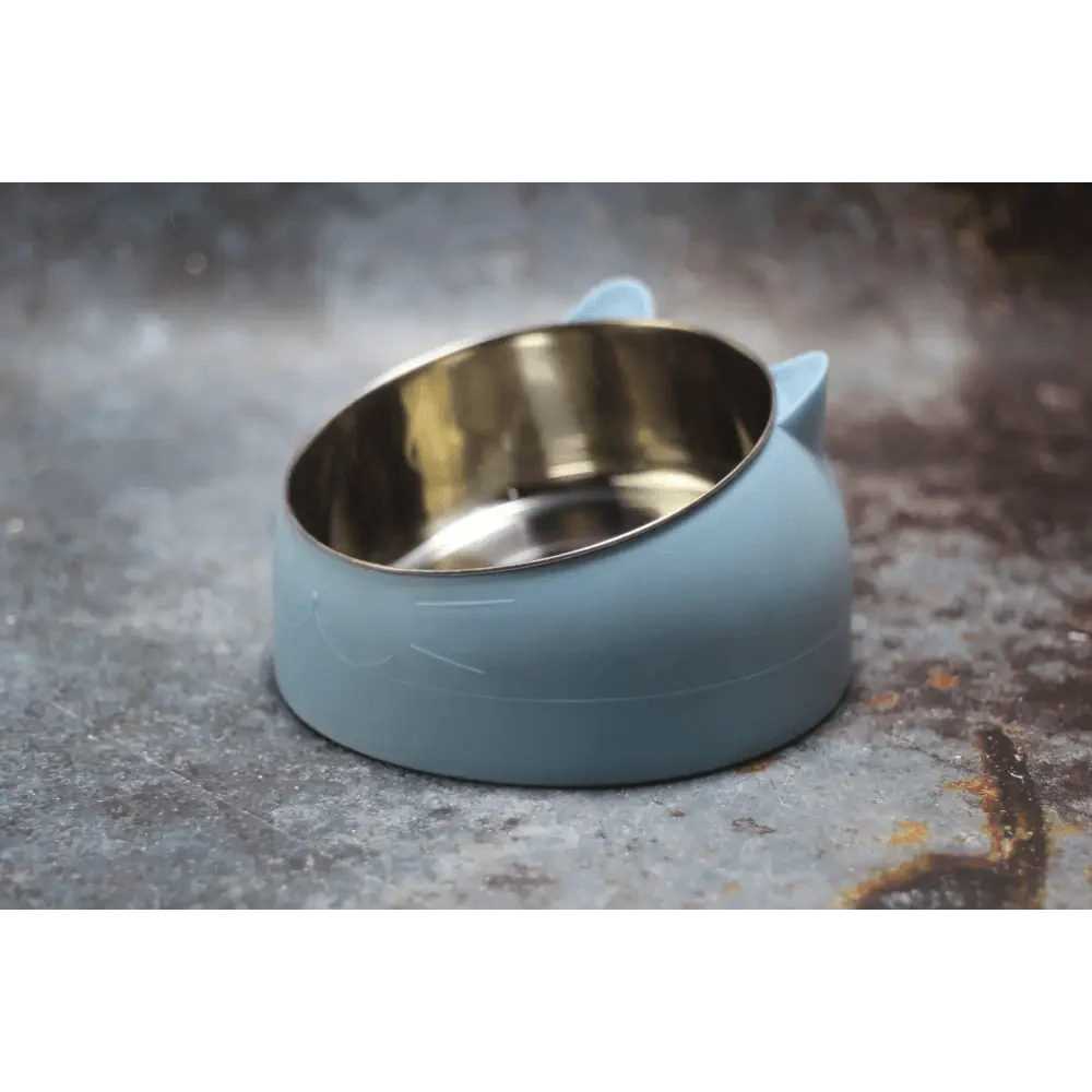 Durable Stainless Steel Cat Bowl with Tilted Design