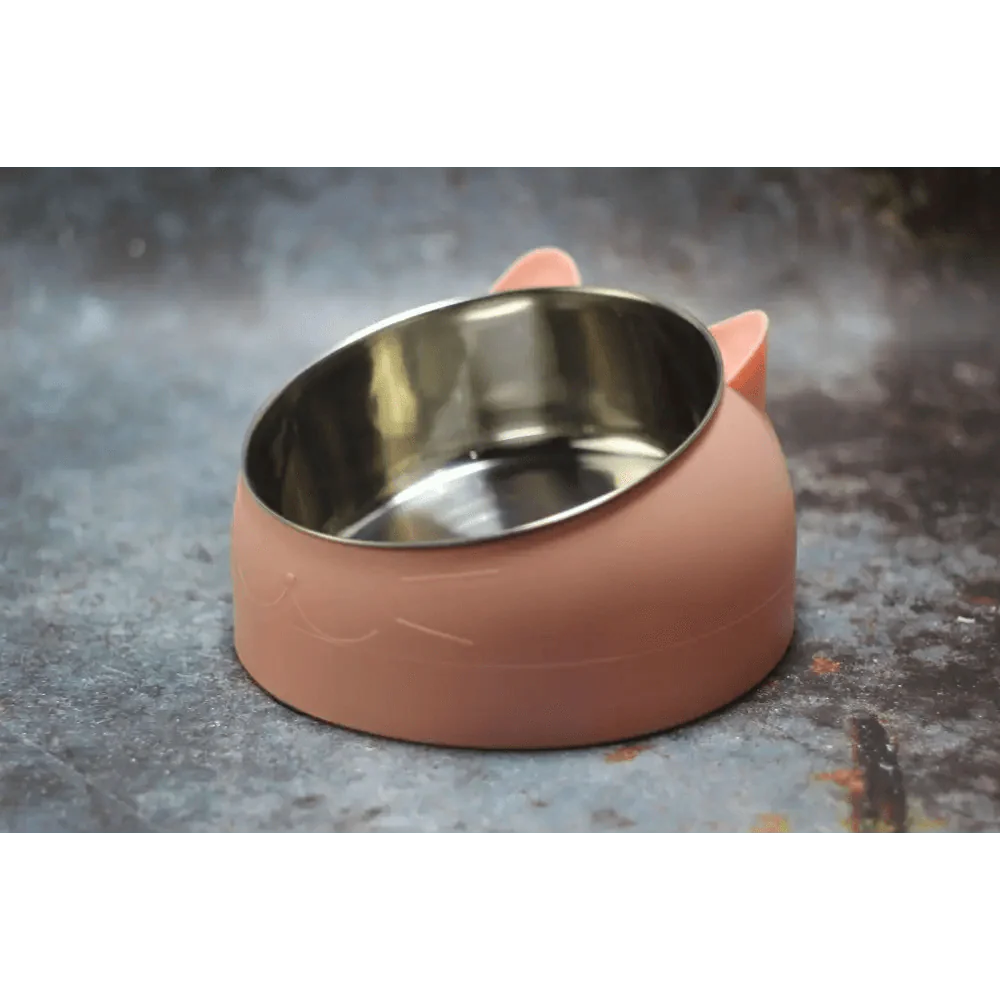 Durable Stainless Steel Cat Bowl with Tilted Design