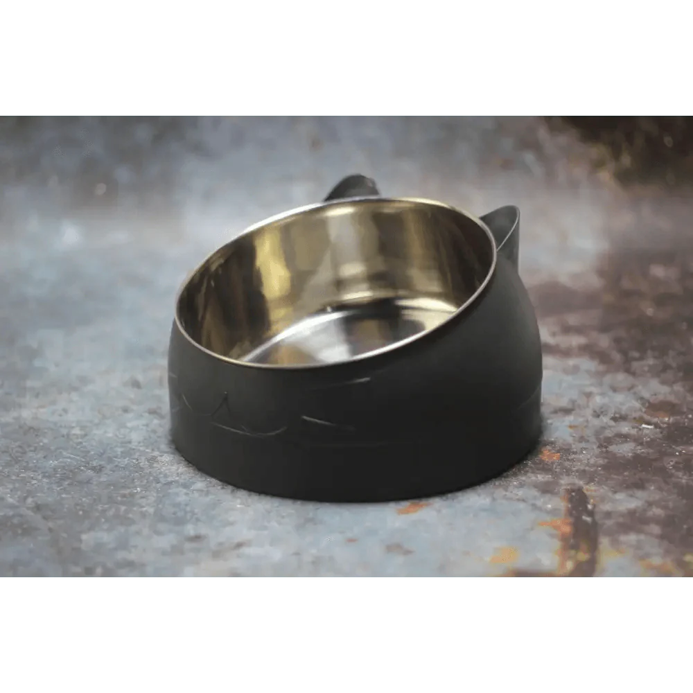 Durable Stainless Steel Cat Bowl with Tilted Design