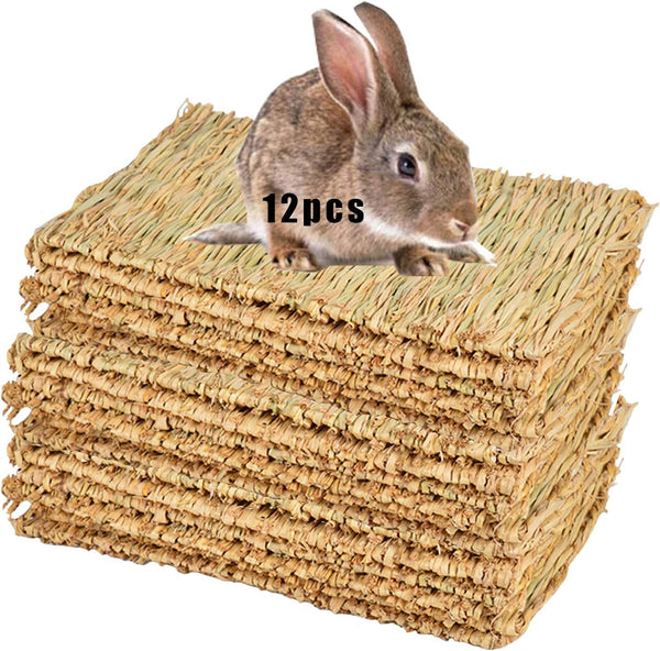 The Ultimate Chew-athon: 12 Grass Mats for Your Furry Friends' Snack Time and Nap Zone!