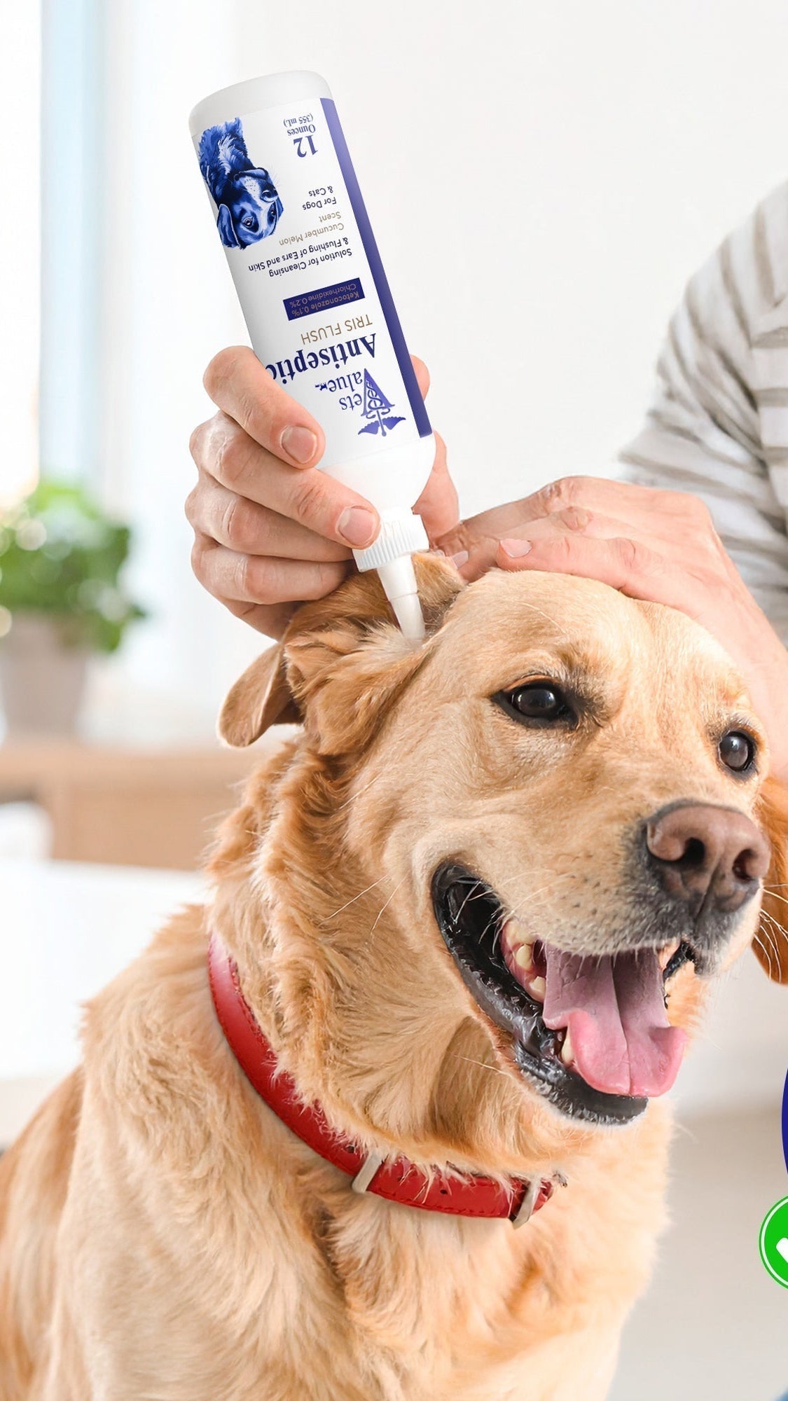 Veterinary Ear Flush for Dogs & Cats – Alcohol-Free Itch Relief