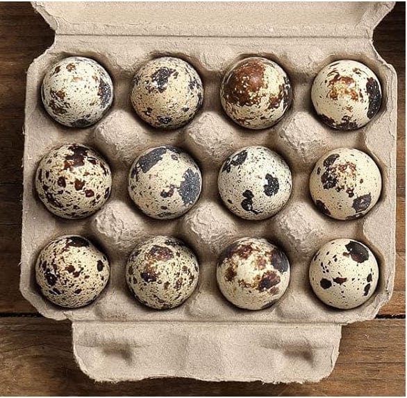 8 Dozen Farm Fresh n Tasty Organic Jumbo Quail Eggs