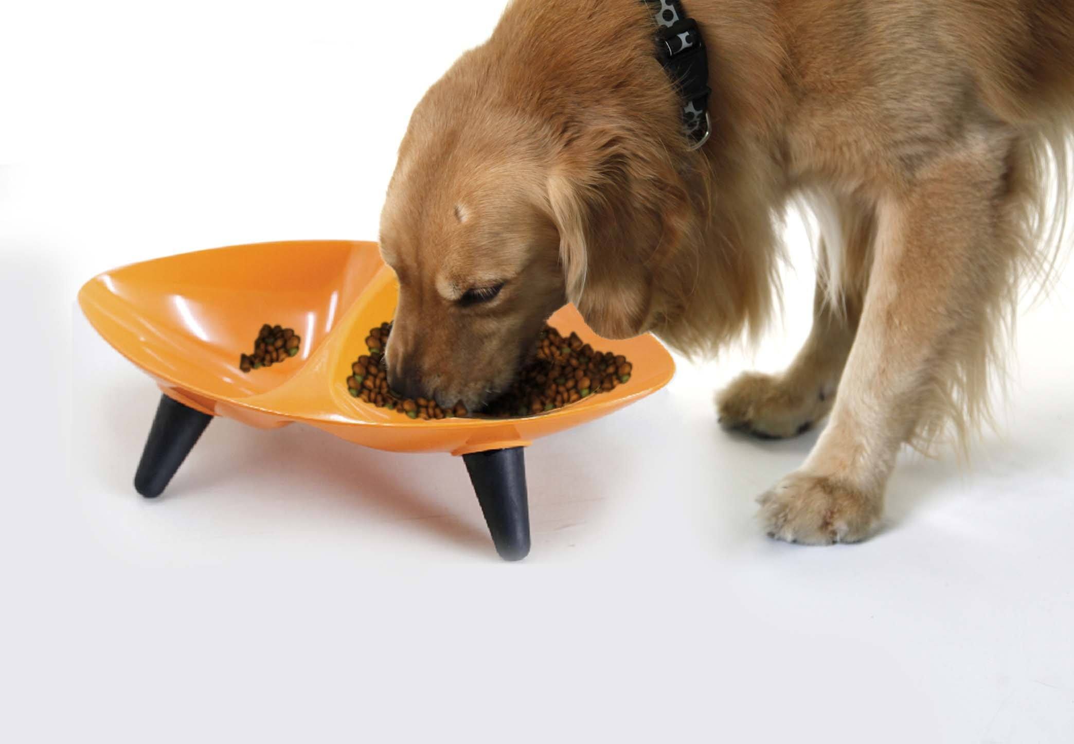 Couture Sculptured Double Melamine Pet Bowl Dishwasher Safe