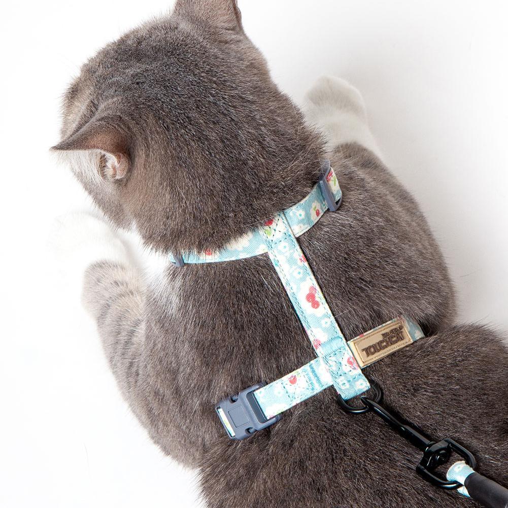 Touchcat 'Radi-Claw' Durable Cat Harness & Leash Combo